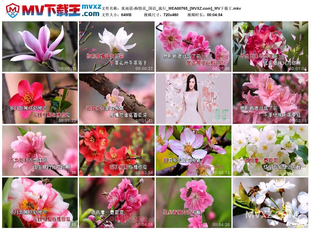 张雨晨-痴情花_国语_流行_MEA00765